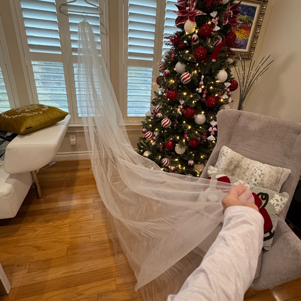 Absolutely Beautiful Catheral 110" Ivory with light silver sparkles Wedding Veil